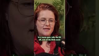 Grow in Compost Balls not Pots: Flowers, Veg and More! #homegrown #gardeningtips #vegetablegarden