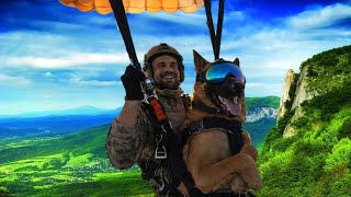K9 Training in the Wild 🌲🐕‍🦺 | Airborne Parachute Action Compilation. #dog #malinois #k9