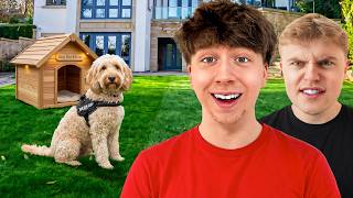 I Bought A Dog For The BOV HOUSE!