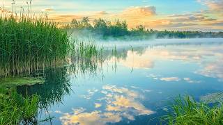 Beautiful Instrumental Hymns, Peaceful Relaxing Music, "Morning Meditations" by Tim Janis