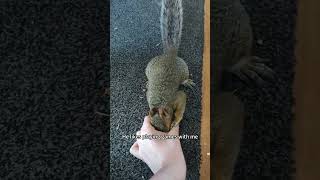 My dog saved a squirrel from the water #usa #squirrel