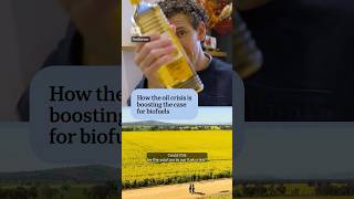 Fuel made from canola? How the oil crisis is boosting the case for biofuels | ABC NEWS