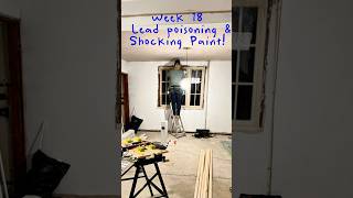 Week 18 - Lead Poisening & Shocking Paint!