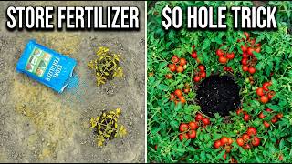 The $0 "Planting Hole" Trick That Killed Fertilizer — Why Garden Stores Pray You Never Try This
