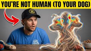 Your Dog Doesn't Think You're Human... What Science Finally Reveals