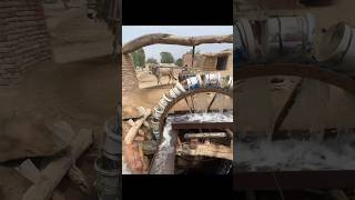 మోటార్లు లేని కాలంలో మన పూర్వీకులు జంతువుల శక్తిని మరియు మెకానిక్స్‌ను ఎంత అద్భుతంగా వాడారో