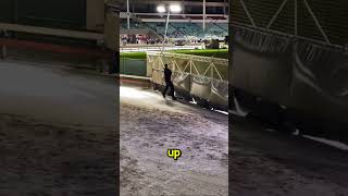 This Guy has One of the most important Jobs in the world! #shorts