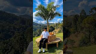 Building my own outdoor seat #diy #garden #Backyard