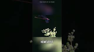 who is also on crack....