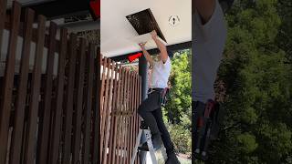 Bees Took Over His Roof