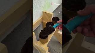 DIY planter pots using carton 📦 #diy #plantpots #carton #trick