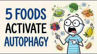Science Explained: Eat These 5 Foods to Activate Autophagy Without Fasting
