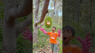 Survival Skills: SMART idea and USEFUL in Forest #bushcraft #camping #outdoors #useful