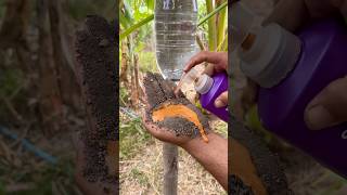 Survival Skills SIMPLE and USEFUL save SOAP & Water in smells #camping #outdoors #survival #skills