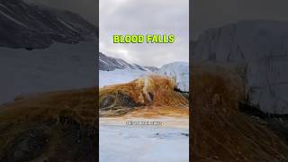 This Glacier Is Bleeding?