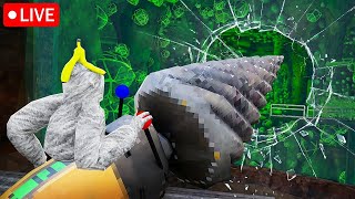 🔴GORILLA TAG LIVE EVENT🔴JOIN RIGHT NOW🔴