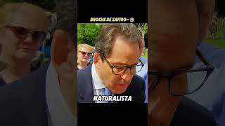 Broche de zafiro de Lacloche Paris Signature#collection#LaclocheParis#collector#antique#collecting