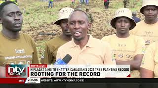 Kiplagat targets world record for planting 24,000 trees in 24 hours
