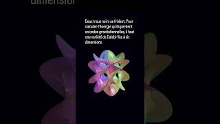 La variété de Calabi-Yau à six dimensions sous toutes ses coutûres. Salukes #science #physique