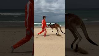 Catching Australian Beach Worms