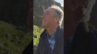 The Sound of a World That Could Disappear #seabirds #wildlife #animaldocumentary