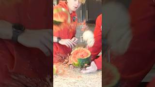 10,000 Rubber Bands vs Watermelon!