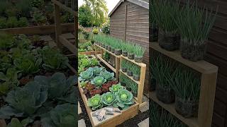 21 апреля 2026 г.