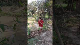 Chinese fruit 🍑 #okafacts #shorts