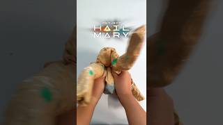 I made rocky a burger bag🍔🪨💫 #projecthailmary #diy #papersquishy #tikipaper #papercraft