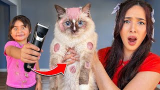 A Fan Found My House And Shaved My Cat!!!
