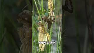 its like a line from a poem...