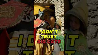 Why Is This Big Cat Following Her?😳