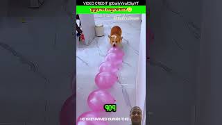 Survival Skills: SIMPLE and USEFUL #bushcraft #camping #outdoor