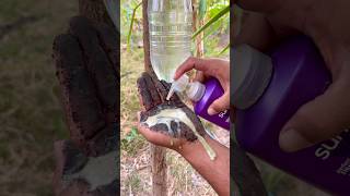 Survival Skills SIMPLE and USEFUL save SOAP & Water in forest #camping #outdoors #survival #skills