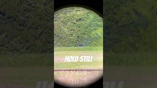 POV: You’ve Spotted a Sniper