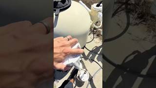 Why Don’t Pool Workers Touch Chlorine with Bare Hands? #fyp #pool #chlorine #safety #science