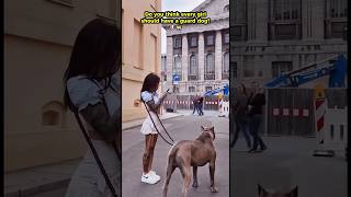 The best bodyguard 🔥🦮❤️🐶🐾 #k9 #dogcoach #dog #k9master #doglife #americanbully