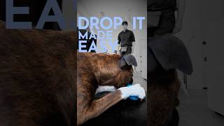 How to teach a dog to drop anything. (FAST!)  #dogtraining #puppytraining