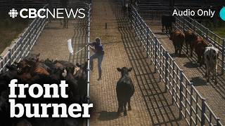 Is a global food crisis looming? | Front Burner