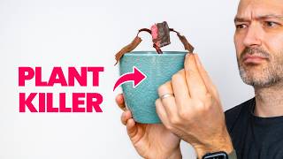 Plant Mistakes Beginners Don't Know They're Making