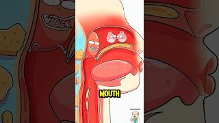 Why Mouth Breathing Ruins Your Face! 😱#shorts #science