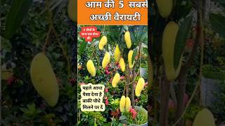 आम की 5 सबसे मीठी वैरायटी 🍋 | एक बार जरूर लगाएं!