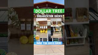 Dollar Tree ORGANIZATION hacks $1.25?! 🤯 you won’t believe these! #organization #dollartree #home