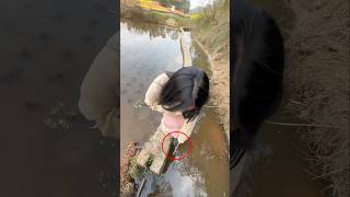 She Crushes Dangerous Snail Eggs