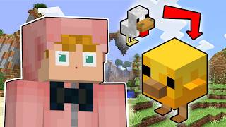 Minecraft, BUT I update versions!