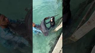 Ustedes serían capas #laurasofia #humor #contenido #comedia