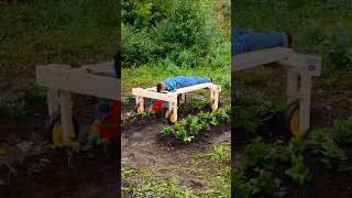 Gardening tips that help save time and effort #gardeningtips #gardenhacks #gardeningtools #tips