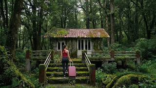 Returning To Her Hometown After 10 Years Away, The Female CEO Built Her Dream Farm In The Forest