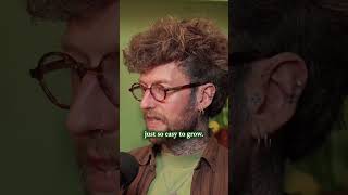 Top 3 Productive Summer Crops to Grow Now!  #homegrown #gardeningtips  #vegetablegarden