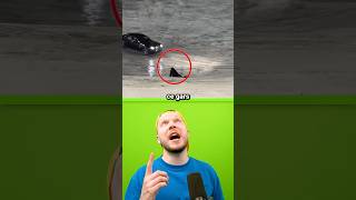 Voici comment gagner une Roll Royce gratuitement